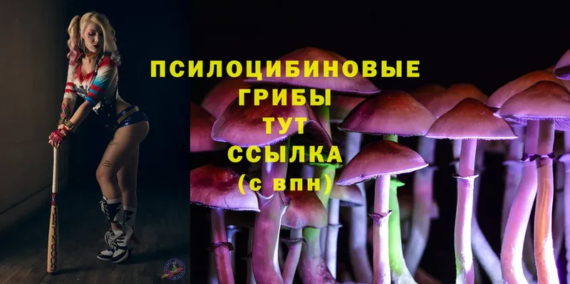 Псилоцибиновые грибы MAGIC MUSHROOMS  Усть-Лабинск 